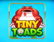 Tiny Toads